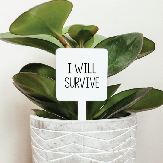 i will survive plant pot I Will Survive Plant Marker – Shopjustadddirt