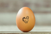 Load image into Gallery viewer, Silkie Chicken Egg Stamp Collection