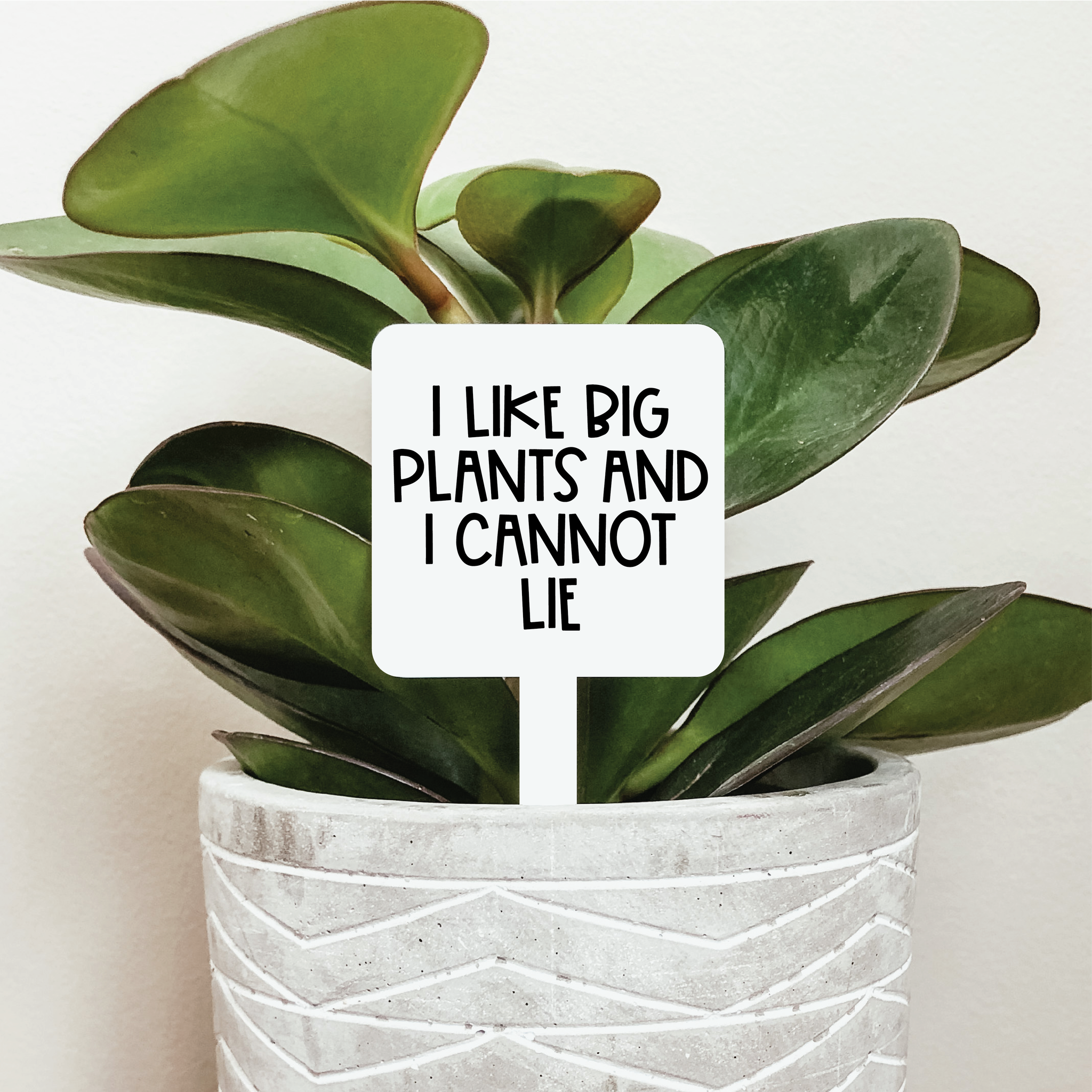 quotes on indoor plants I Like Big Plants And I Cannot Lie Plant Marker – Shopjustadddirt